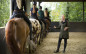 Afbeelding van Vijf speciale competenties van de manege-instructeur
