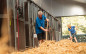 Afbeelding van Subsidies voor paardenhouders