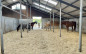 Afbeelding van Van manege naar pensionstal met groepshuisvesting