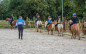 Afbeelding van Corona: nieuwe maatregelen paardensport vanaf 14 oktober