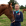 Profielfoto van Jolien van Ballegooijen